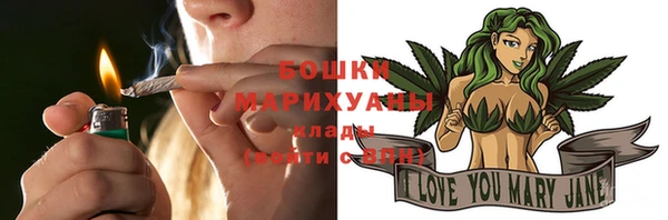 стафф Надым