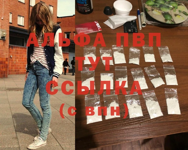 стафф Надым