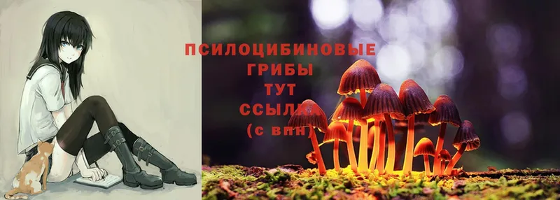 Галлюциногенные грибы Psilocybine cubensis  Лукоянов 