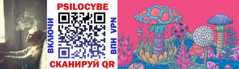Псилоцибиновые грибы Psilocybe  где купить наркоту  Лукоянов 